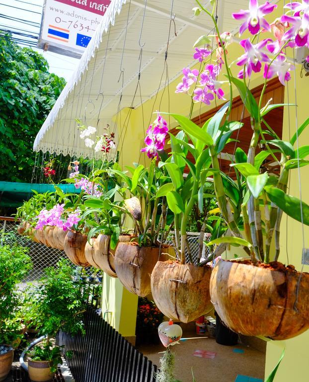 Adonis Guest House Patong Exterior photo
